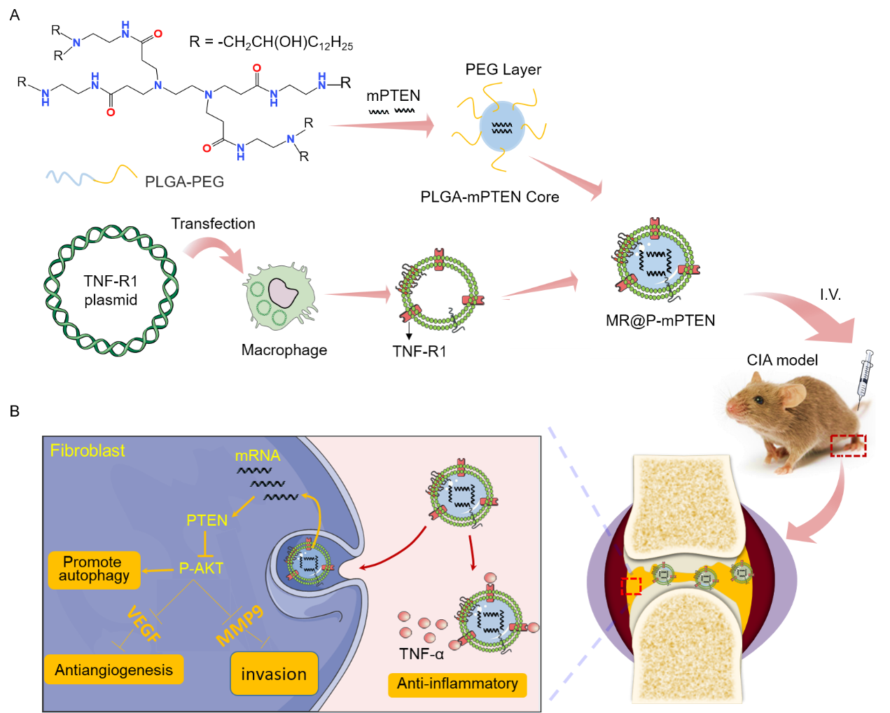 beat365在线体育app