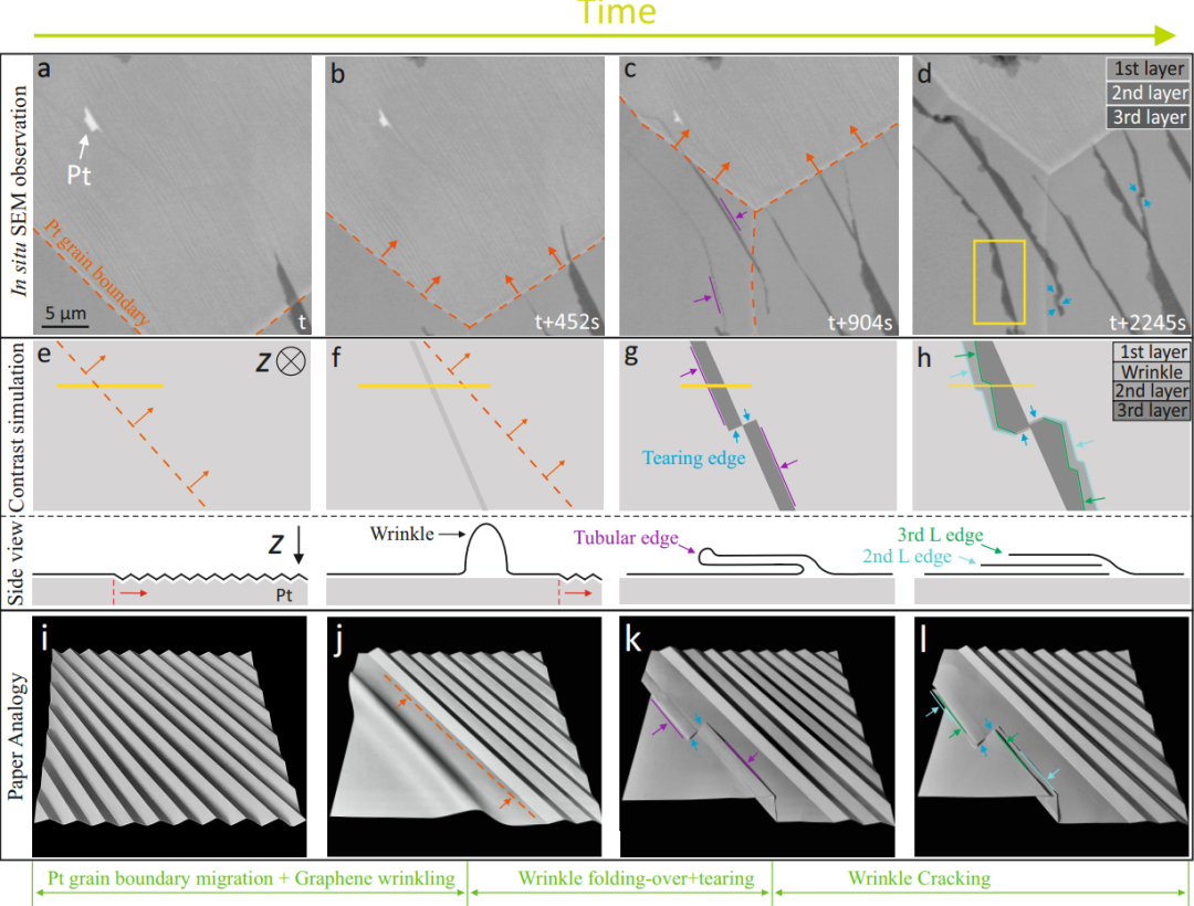 beat365在线体育app