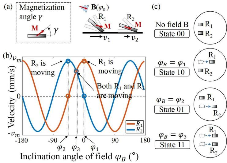beat365在线体育app