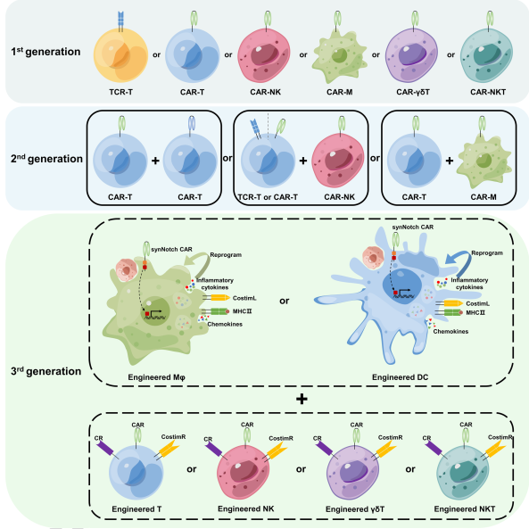 beat365在线体育app