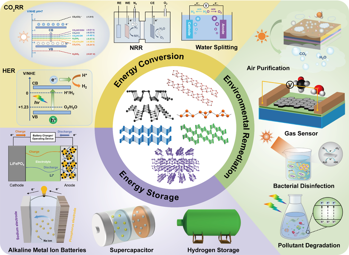 beat365在线体育app