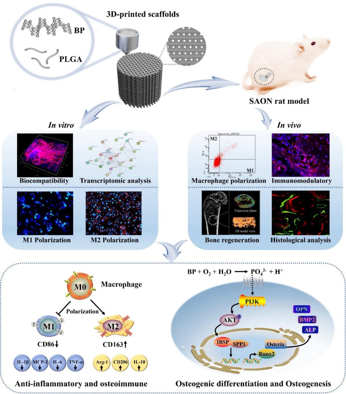 beat365在线体育app