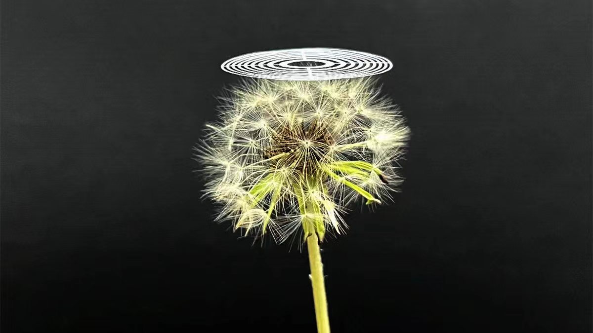 beat365在线体育app