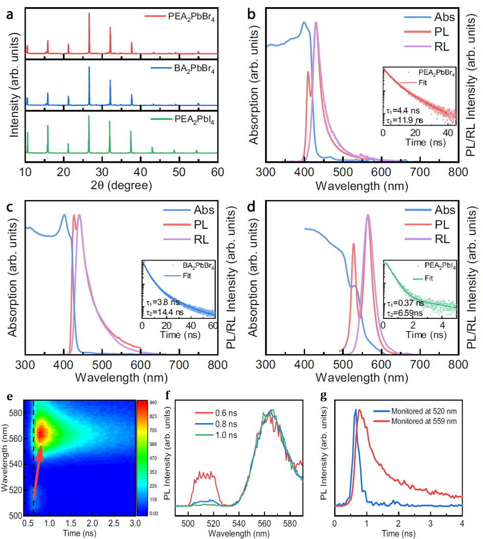 beat365在线体育app