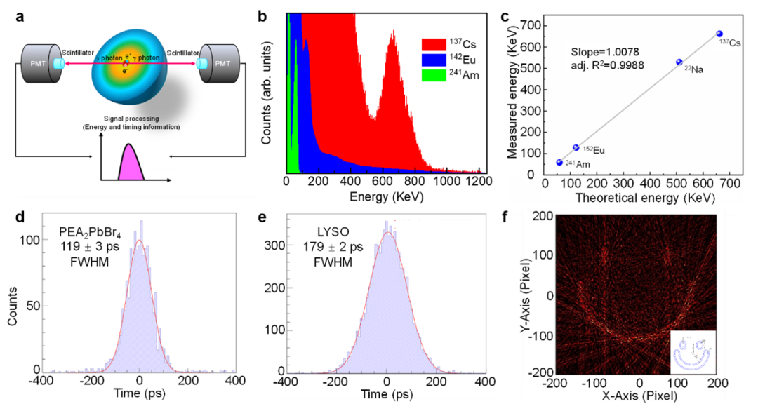 beat365在线体育app