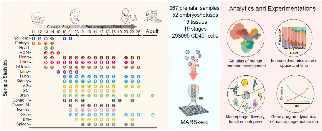 beat365在线体育app