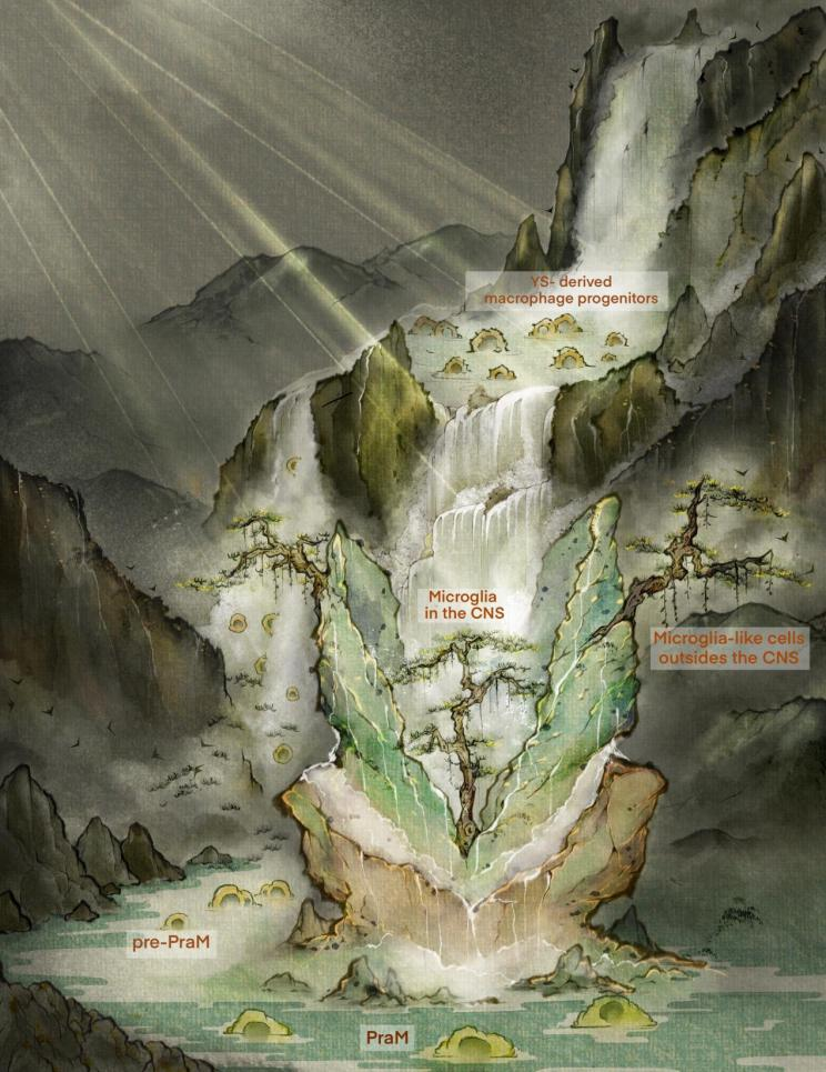 beat365在线体育app