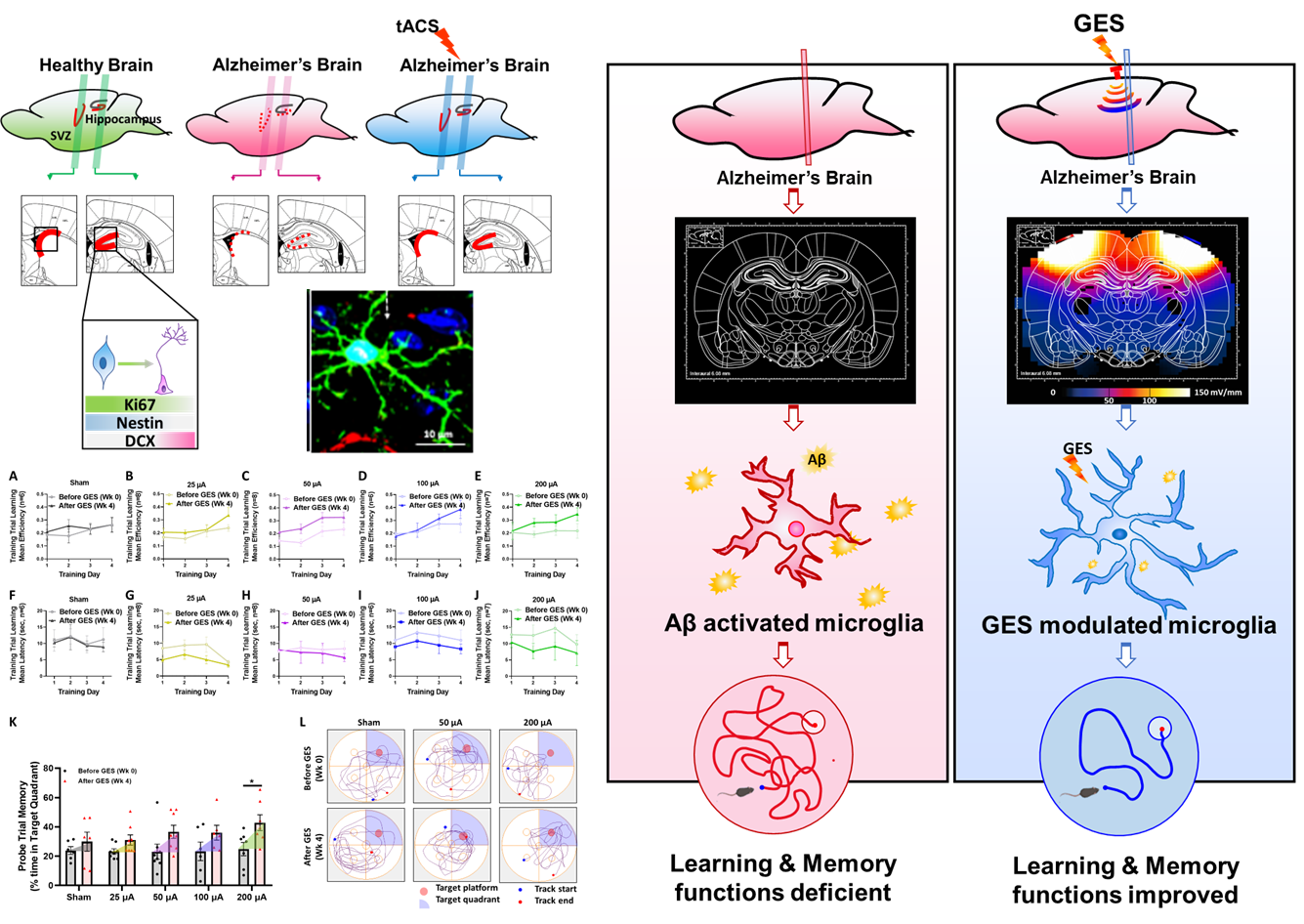 beat365在线体育app