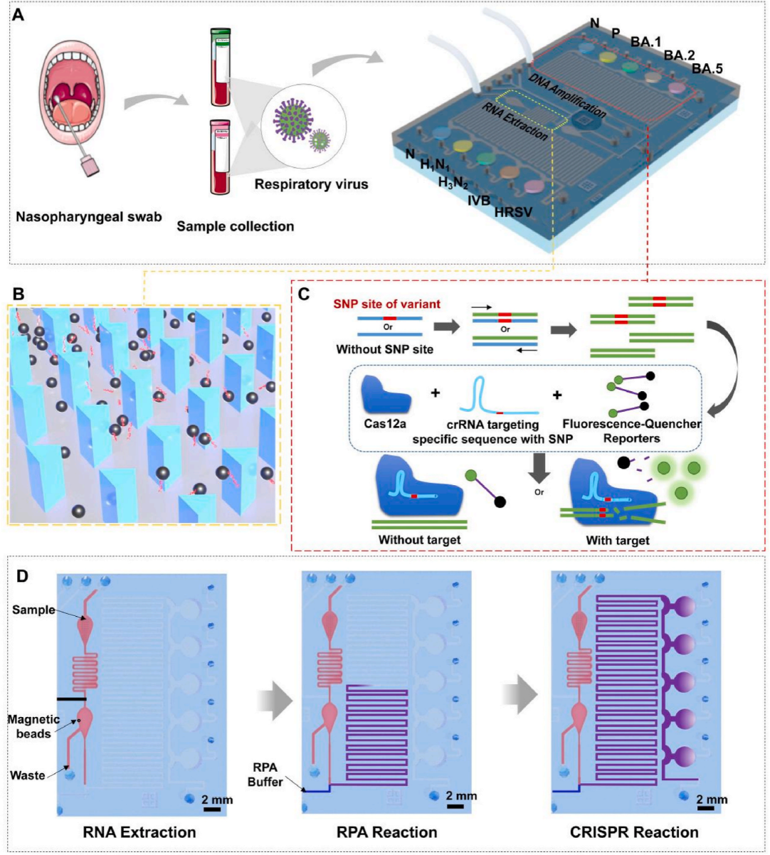beat365在线体育app