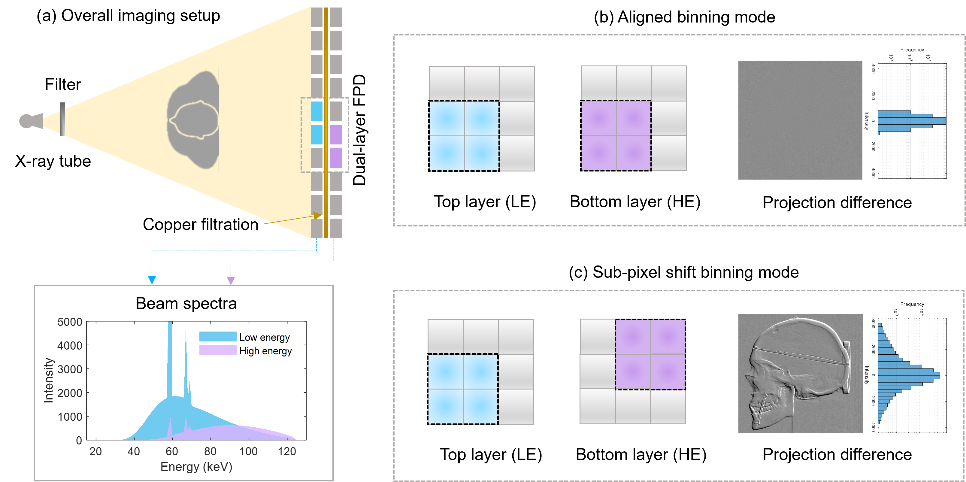 beat365在线体育app