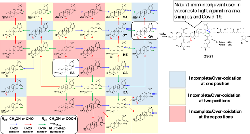 beat365在线体育app