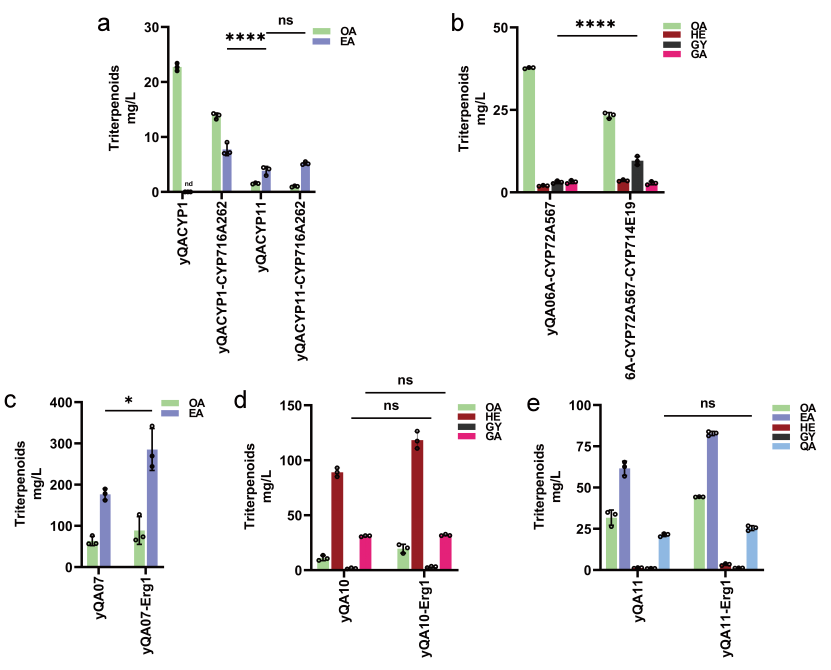 beat365在线体育app