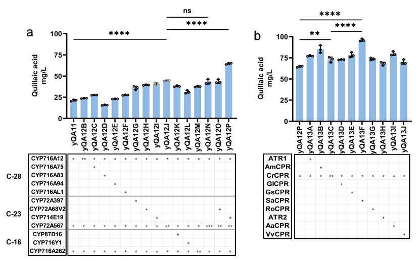 beat365在线体育app