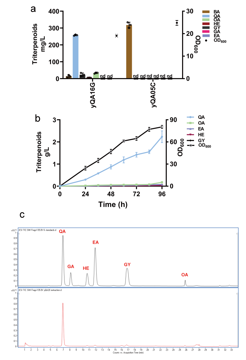 beat365在线体育app