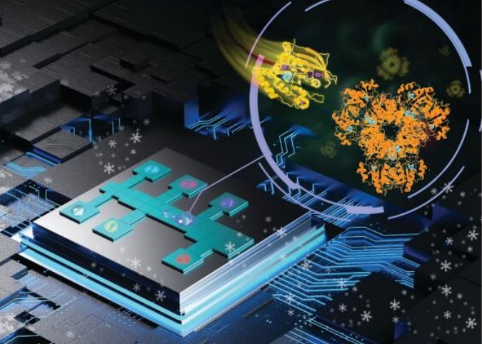 beat365在线体育app