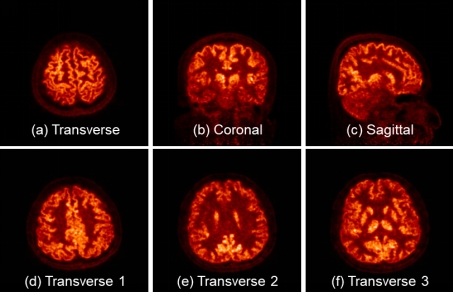 beat365在线体育app