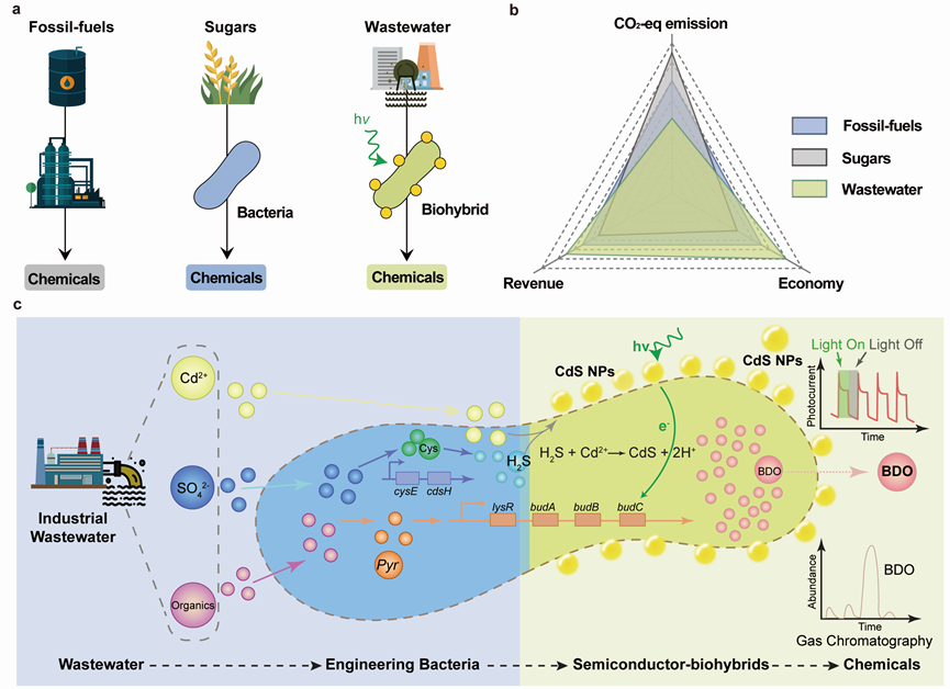 beat365在线体育app