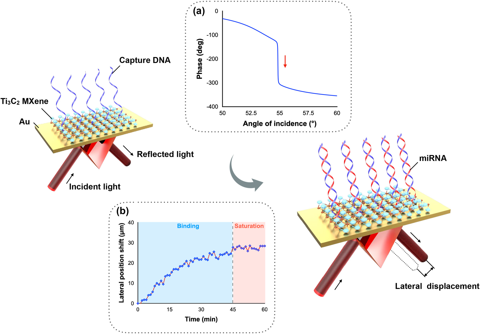 beat365在线体育app