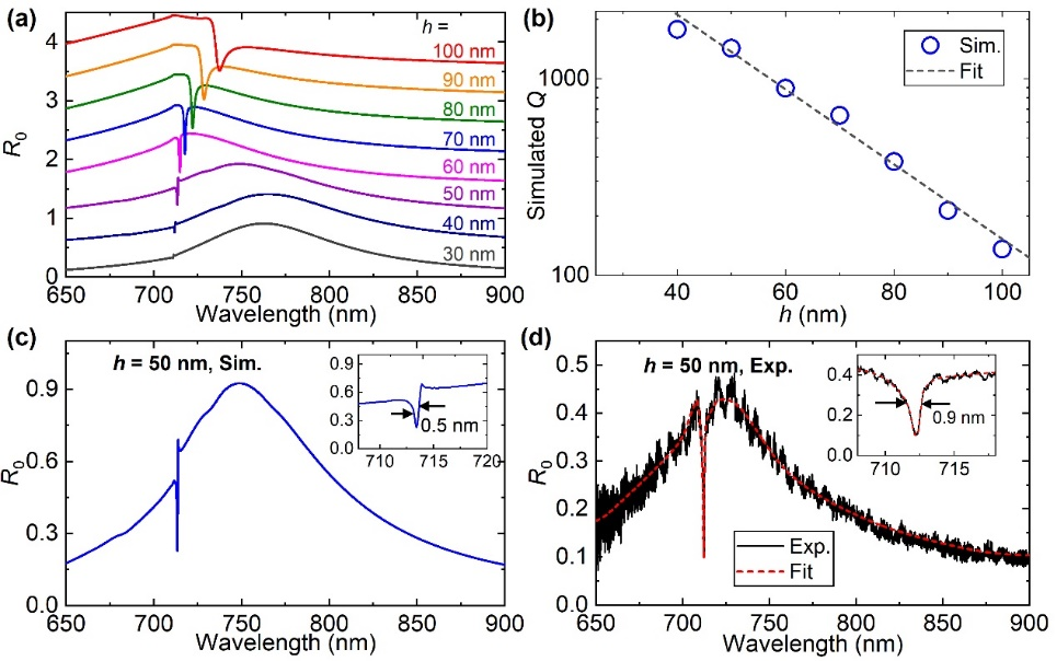 beat365在线体育app