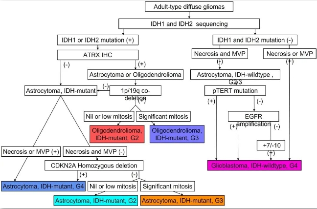 beat365在线体育app