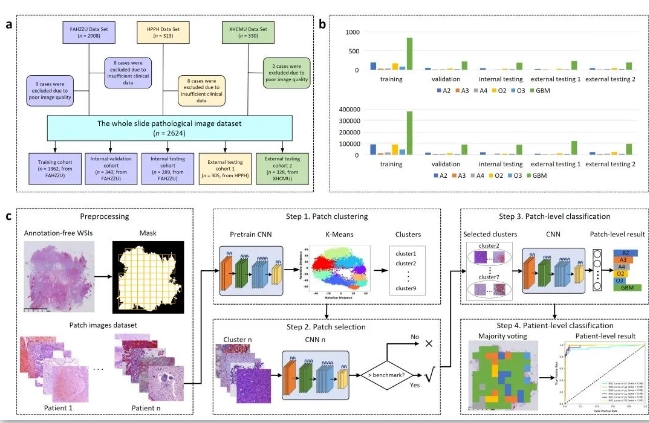 beat365在线体育app