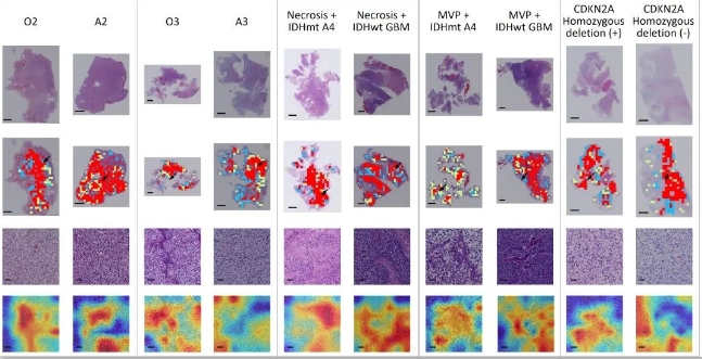 beat365在线体育app