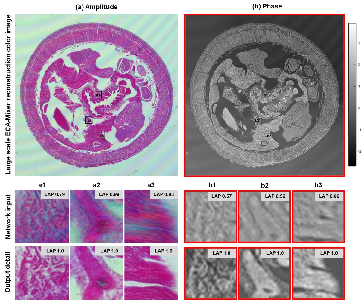 beat365在线体育app