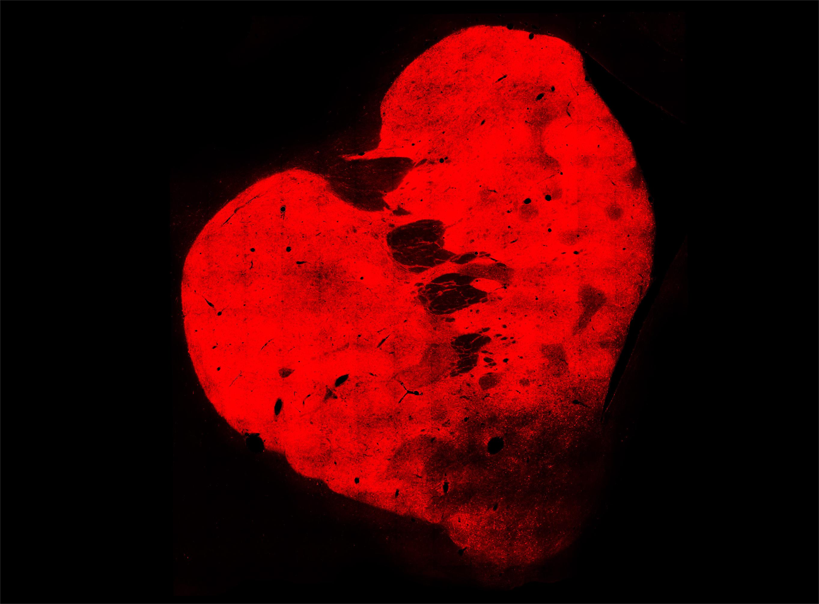 beat365在线体育app