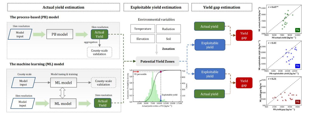 beat365在线体育app