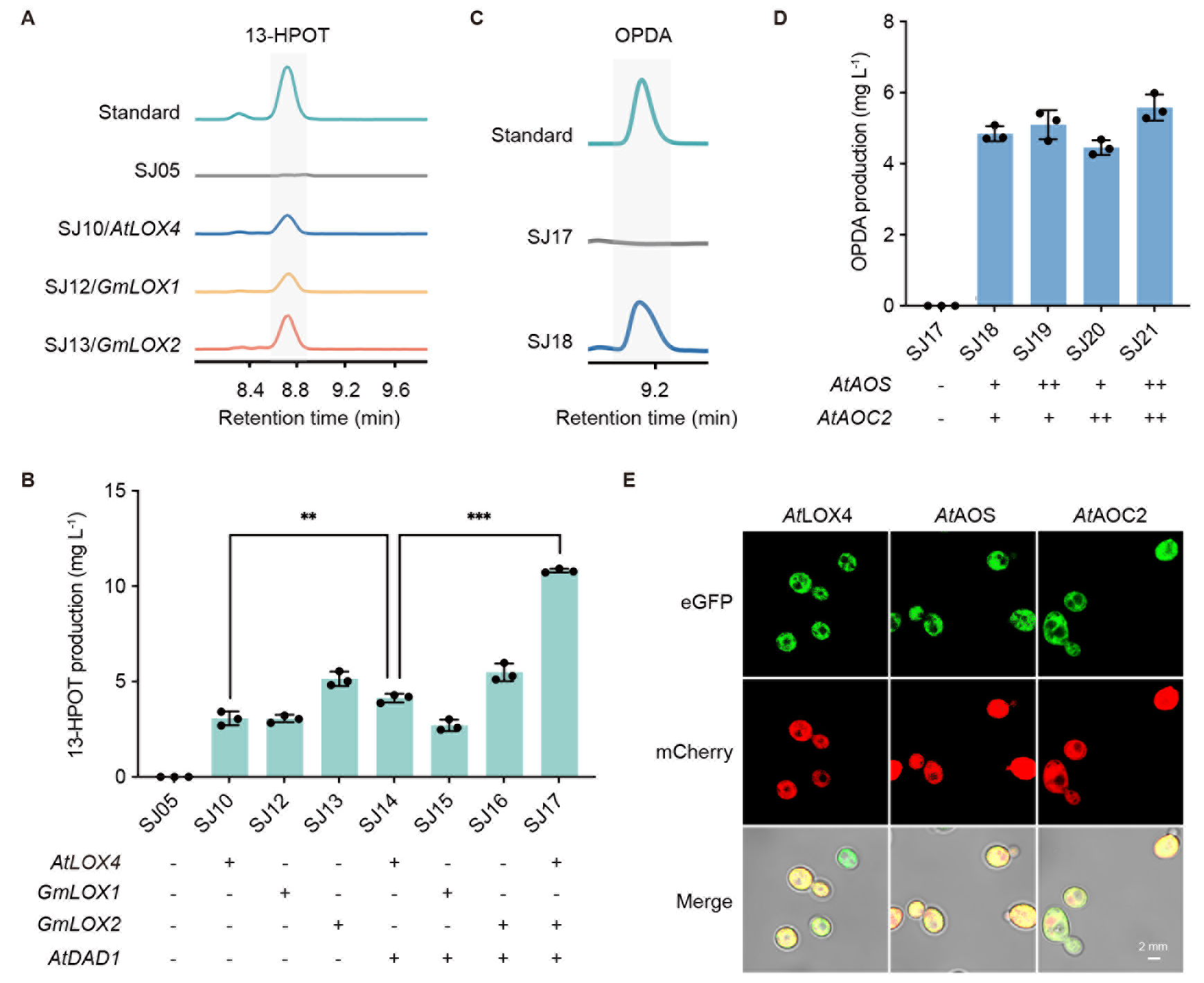 beat365在线体育app