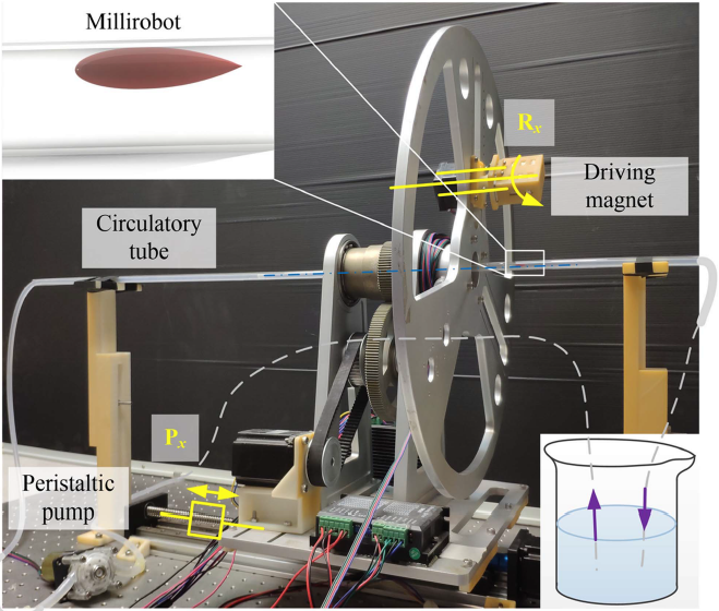 beat365在线体育app