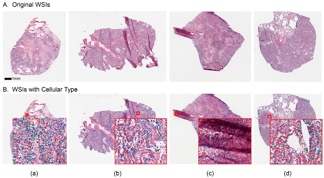 beat365在线体育app