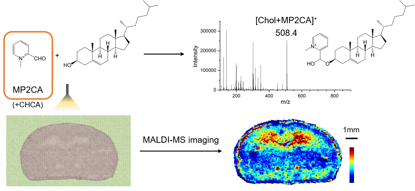 beat365在线体育app