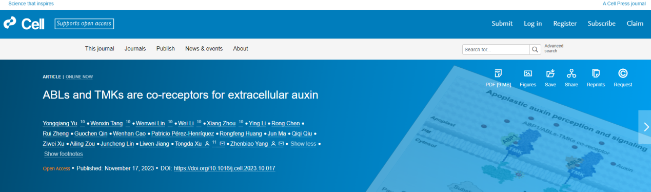 beat365在线体育app