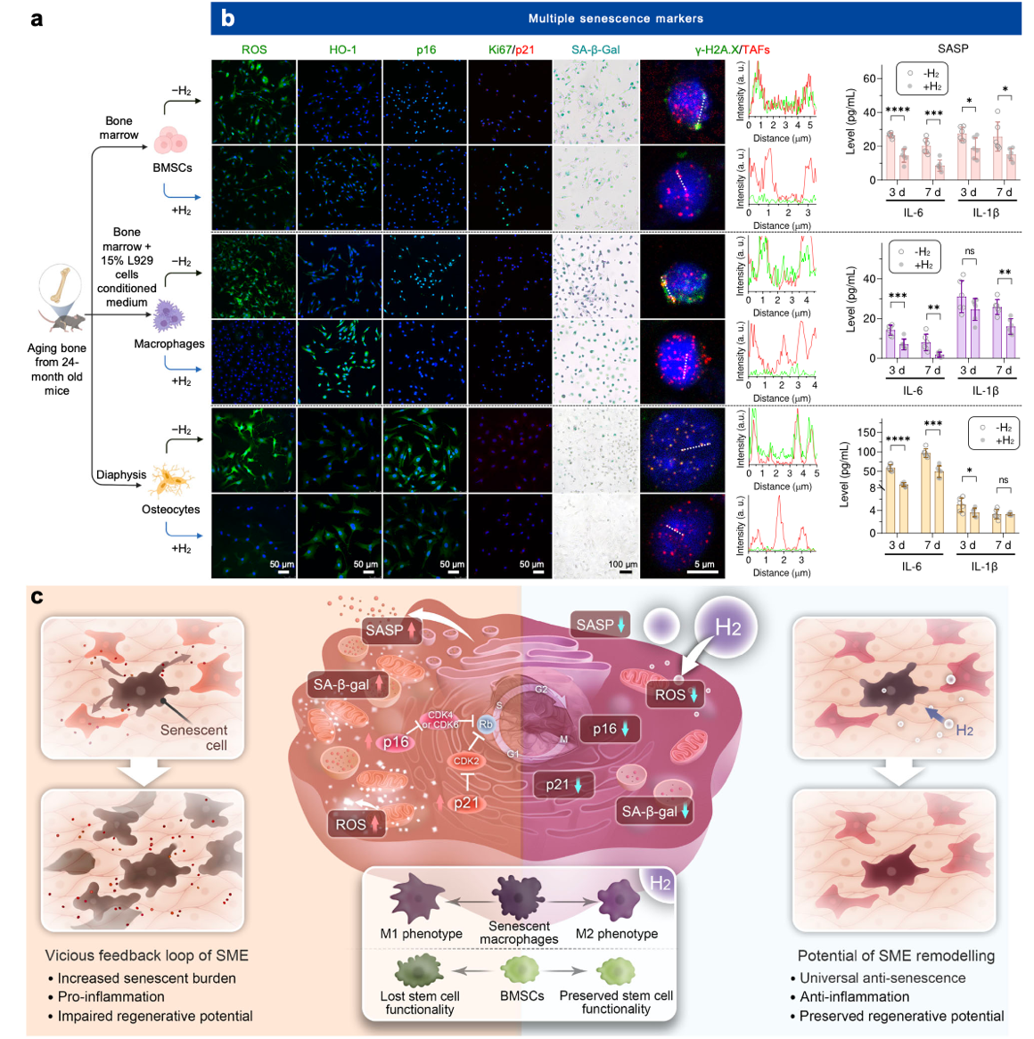 beat365在线体育app