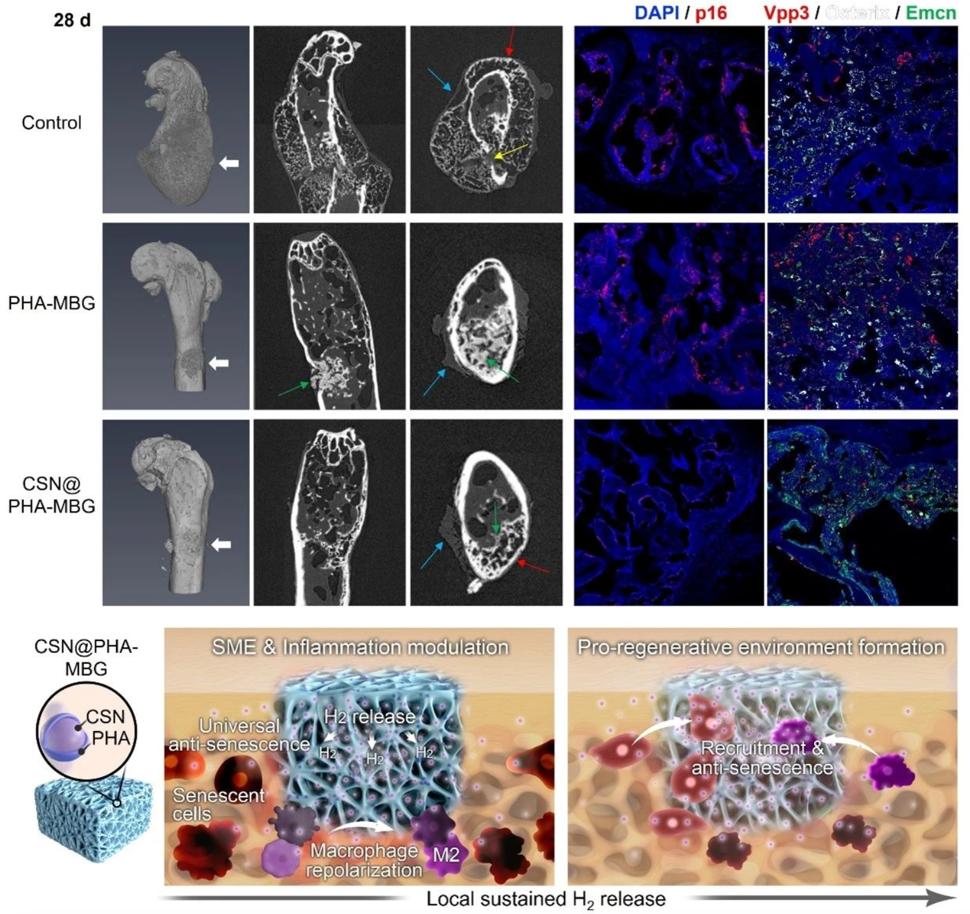 beat365在线体育app