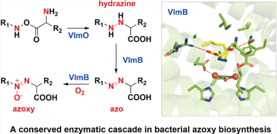 beat365在线体育app