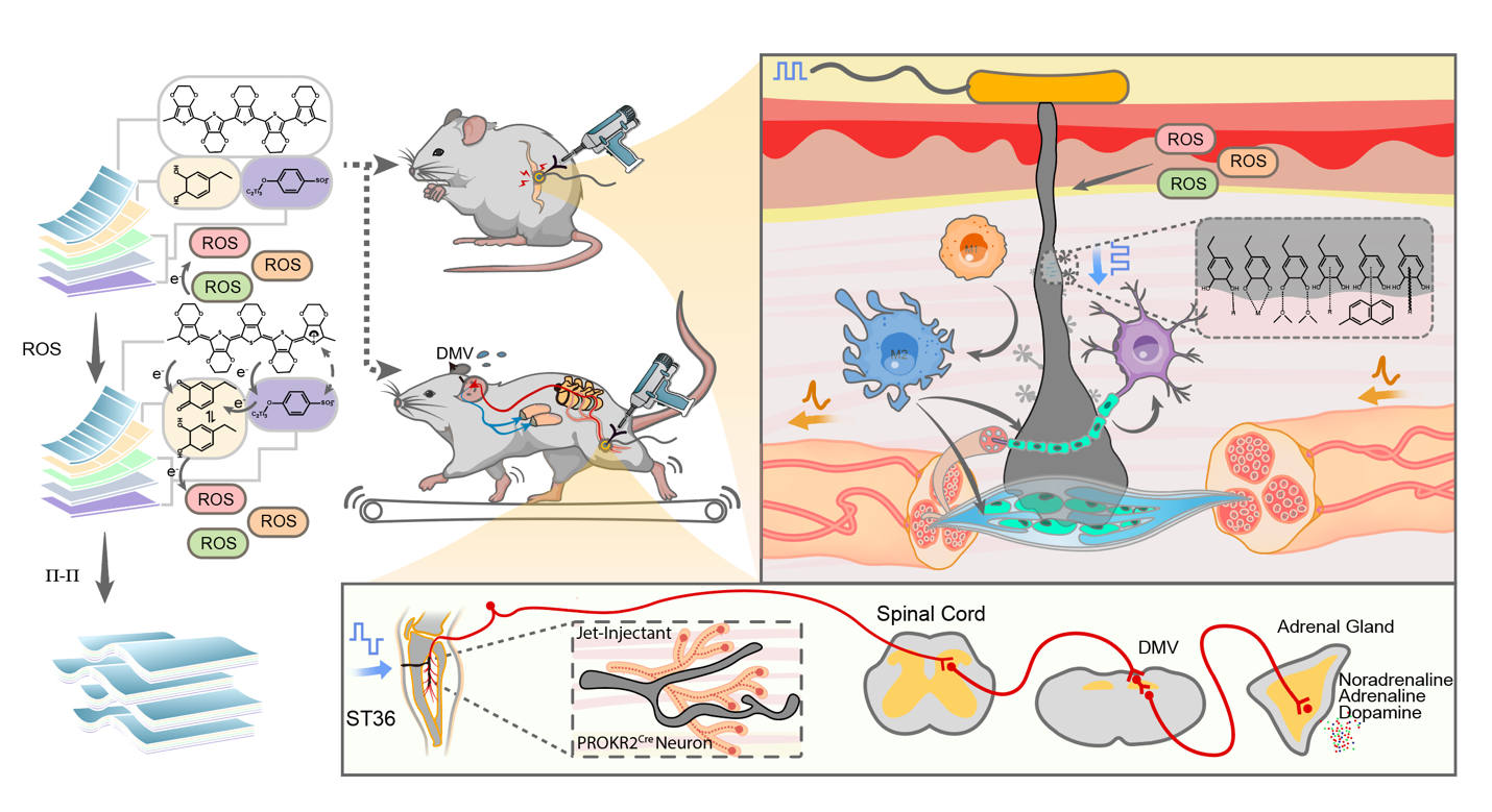 beat365在线体育app