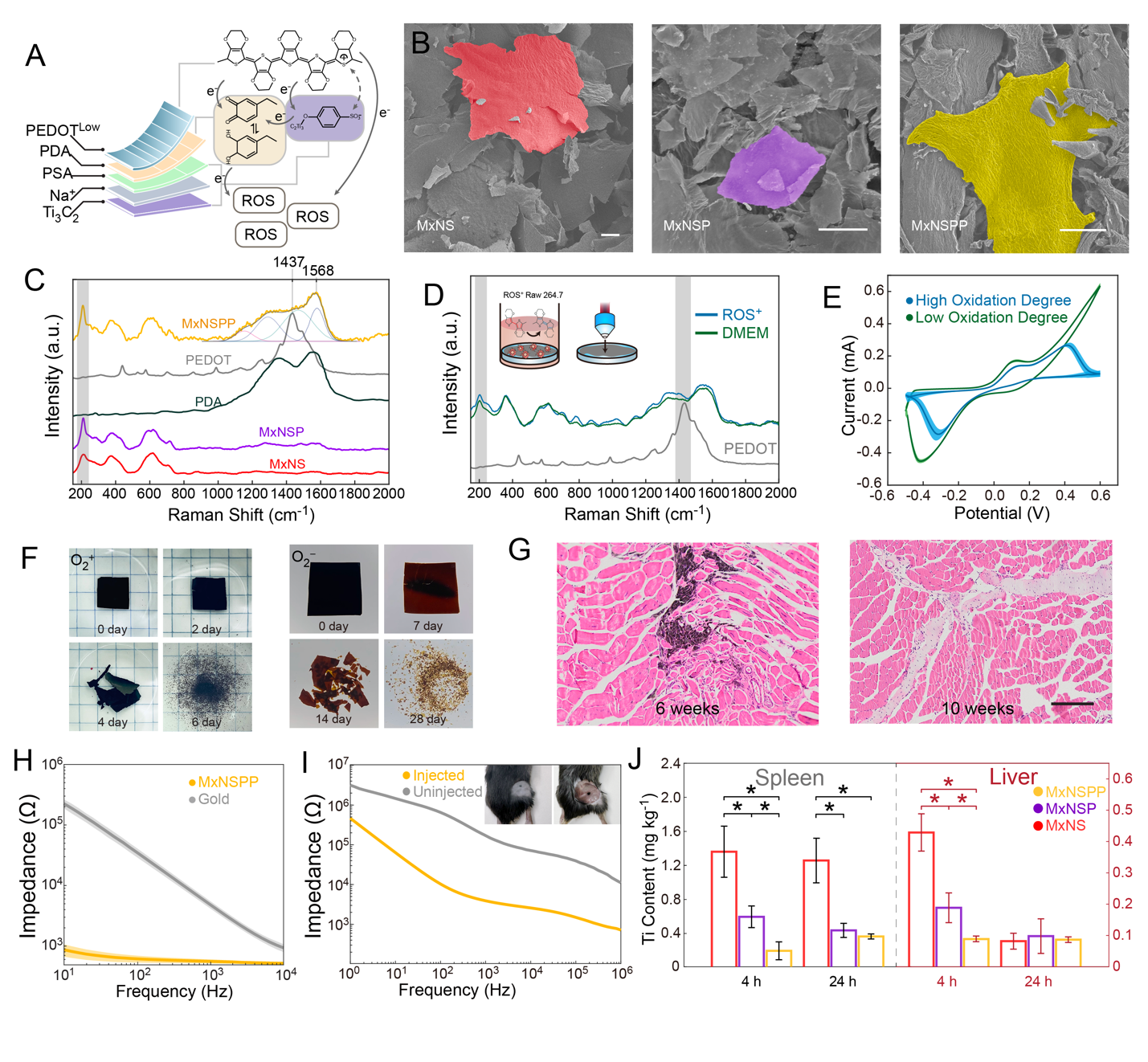 beat365在线体育app