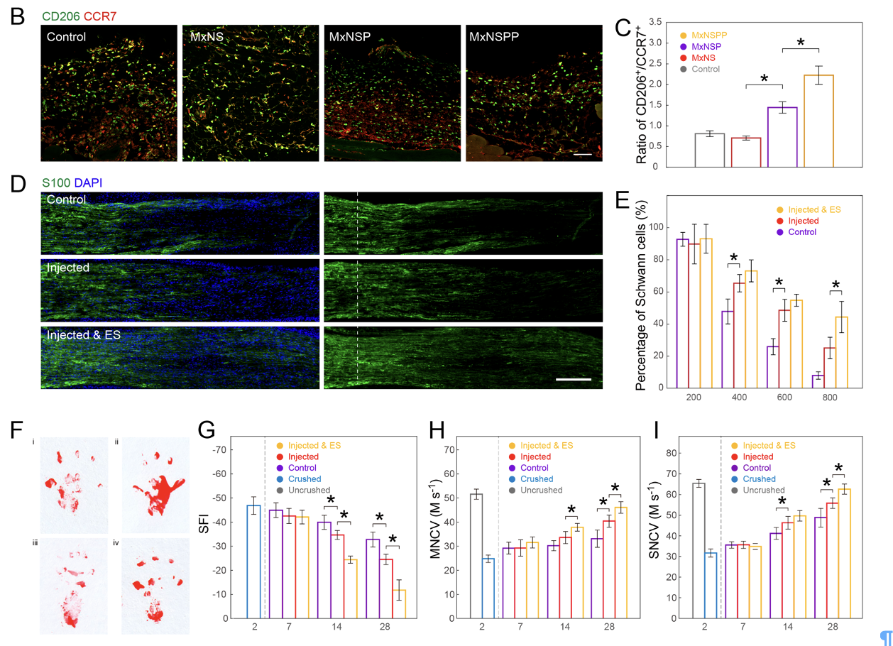 beat365在线体育app