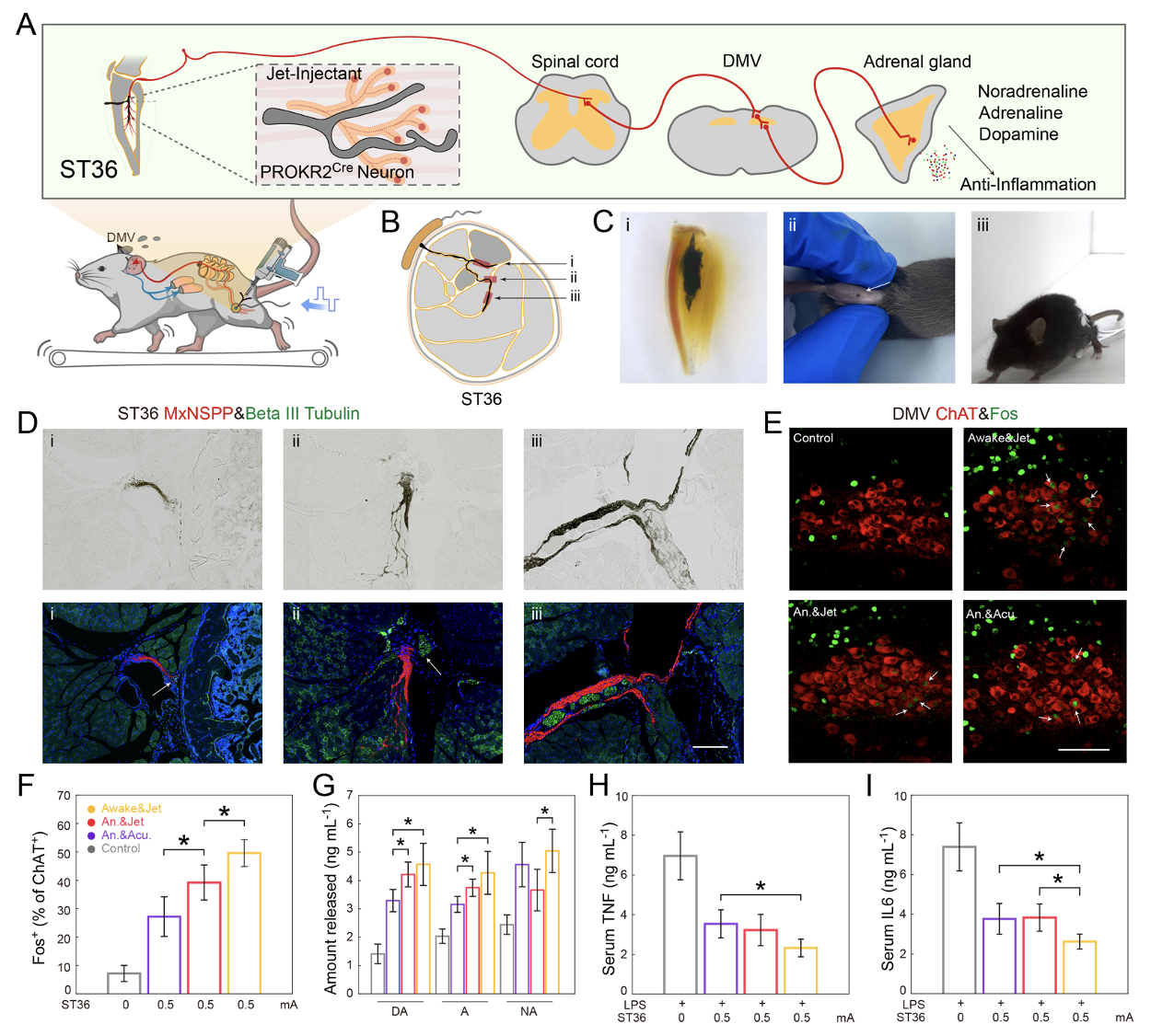 beat365在线体育app
