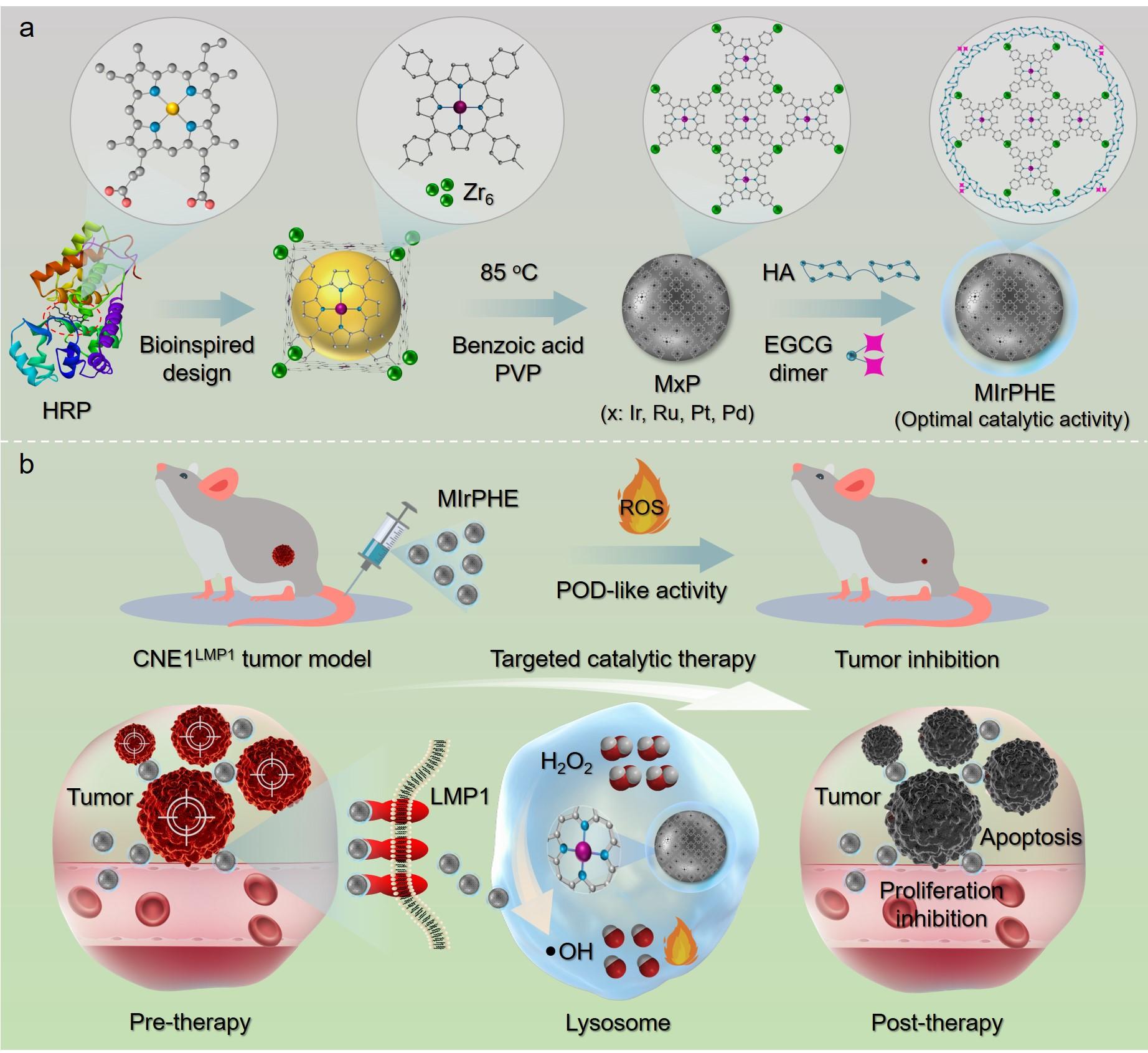 beat365在线体育app