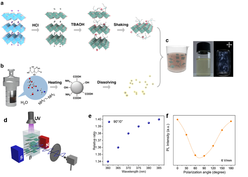 beat365在线体育app
