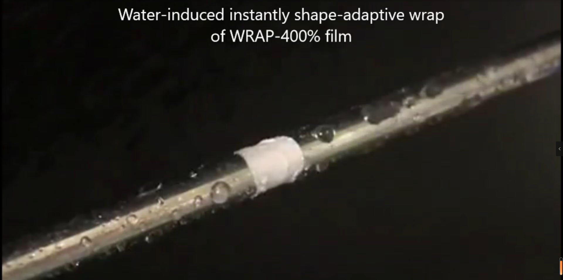 beat365在线体育app