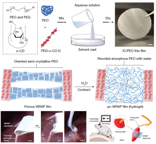 beat365在线体育app