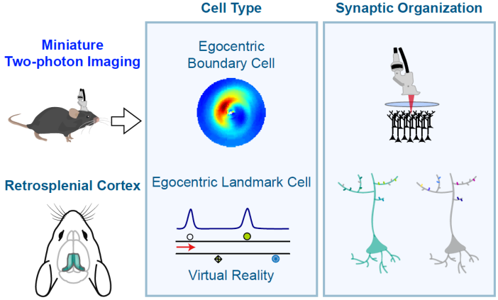 beat365在线体育app
