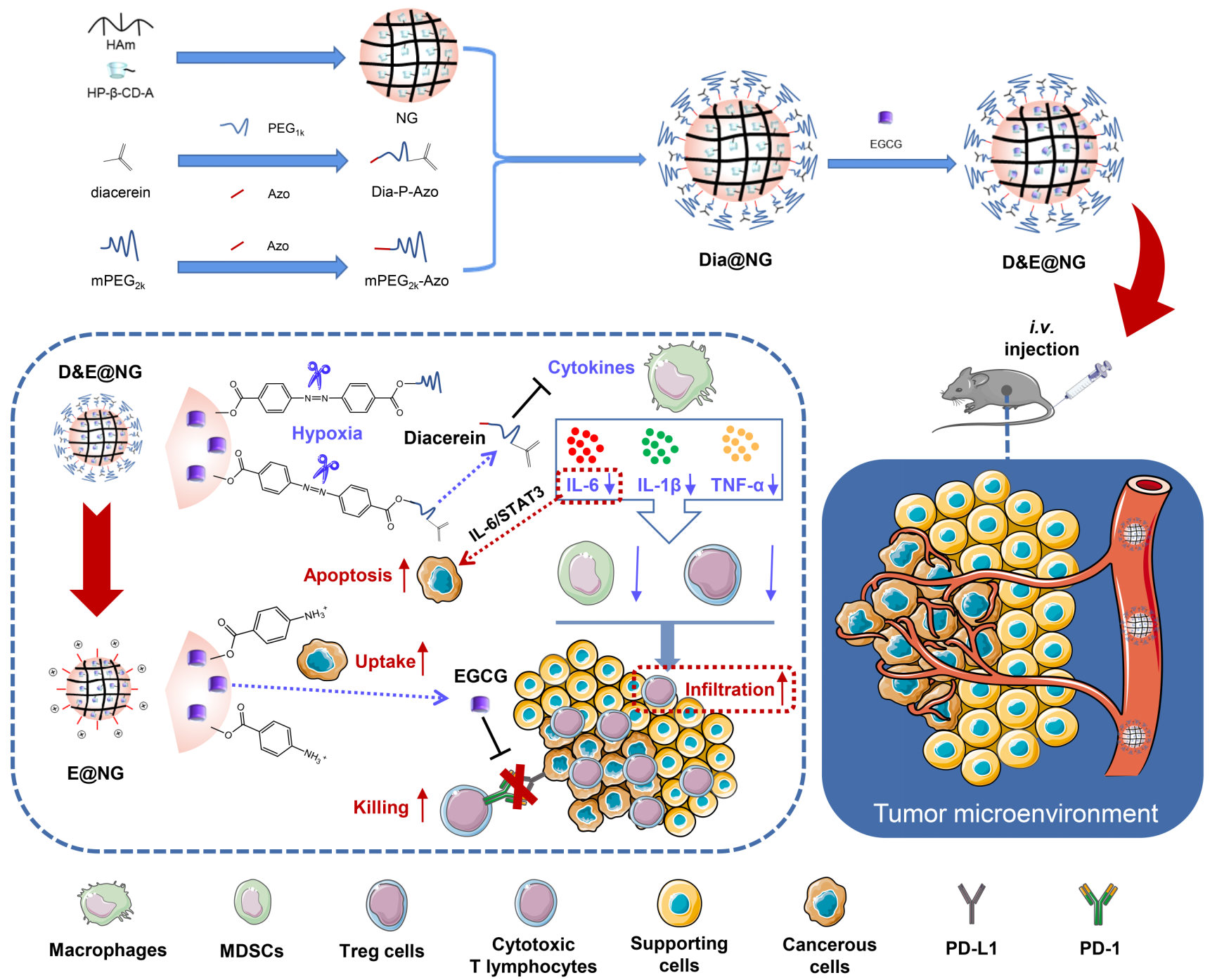 beat365在线体育app