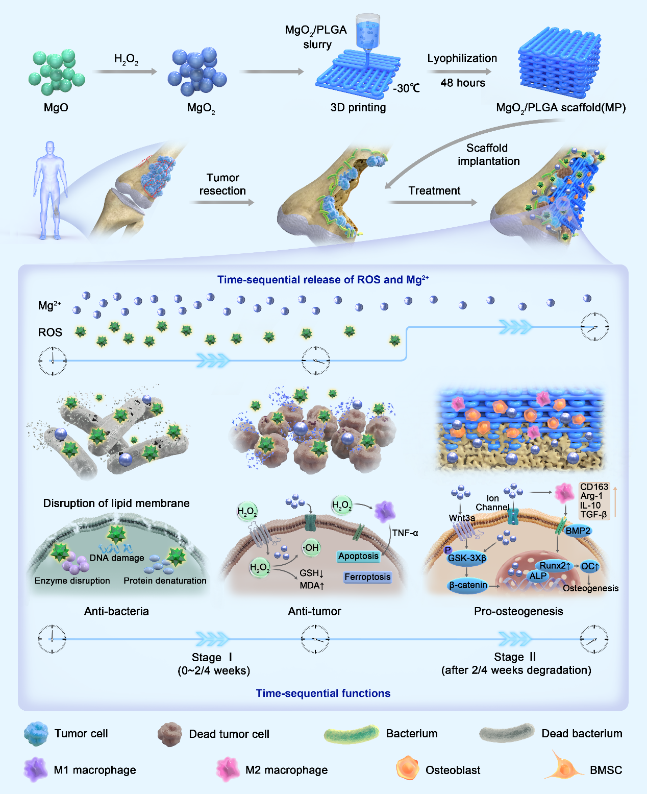 beat365在线体育app