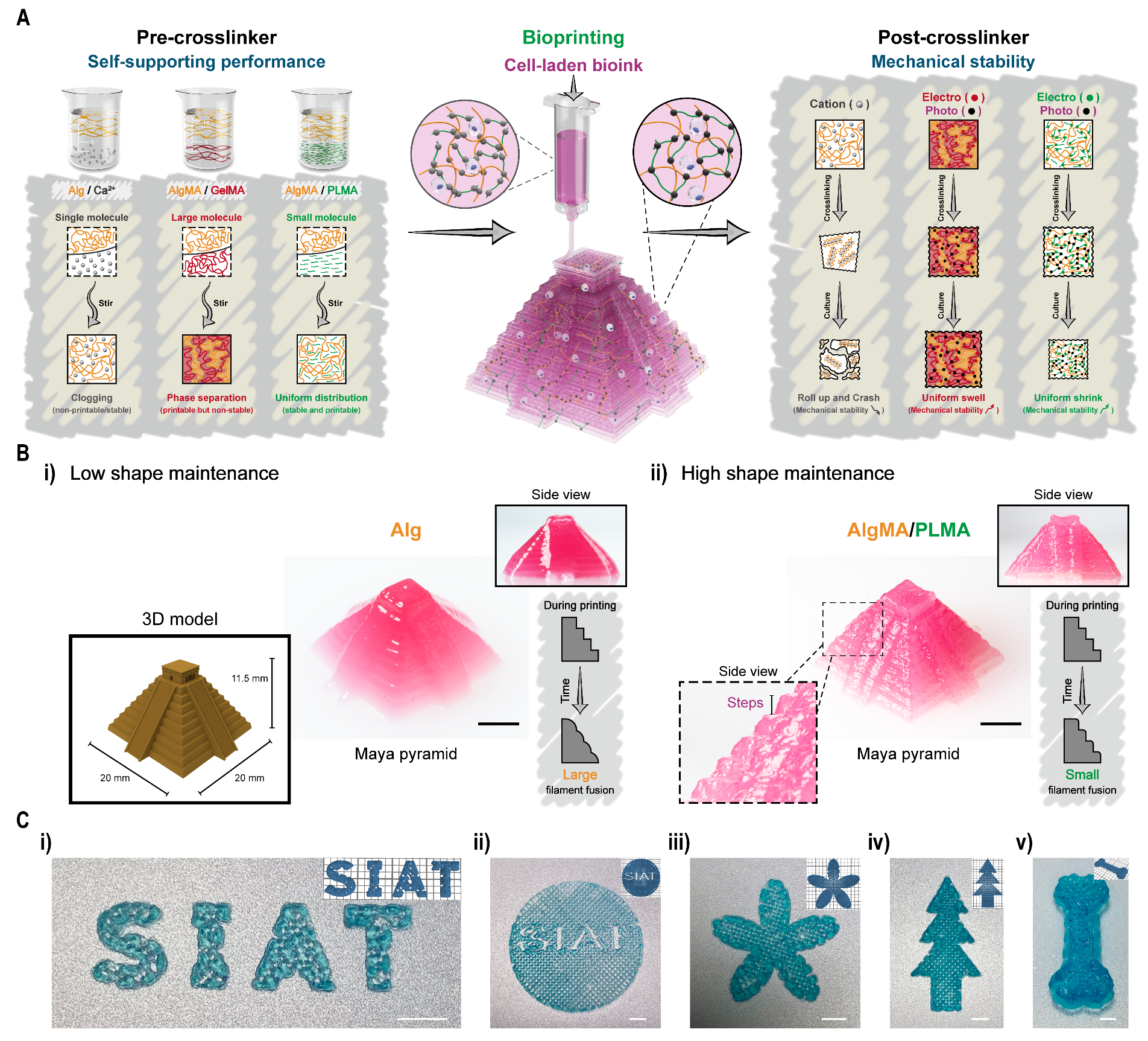 beat365在线体育app