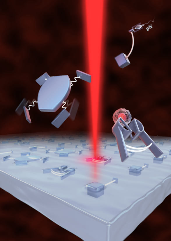 beat365在线体育app